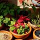 Unlocking Herbal Knowledge: Benefits &amp; Uses Guide | The Ultimate Herbal Remedies Guide: Natural Healing for a Healthier Life