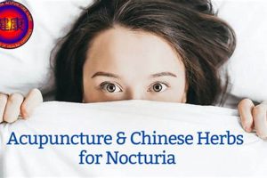 Natural Nocturia Herbal Remedies: Sleep Soundly The Ultimate Herbal Remedies Guide: Natural Healing for a Healthier Life Natural Nocturia Herbal Remedies: Sleep Soundly | The Ultimate Herbal Remedies Guide: Natural Healing for a Healthier Life
