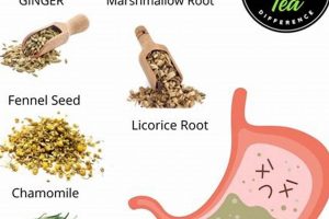 Best Herbal Tea for GERD Relief: Soothe Acid Reflux The Ultimate Herbal Remedies Guide: Natural Healing for a Healthier Life Best Herbal Tea for GERD Relief: Soothe Acid Reflux | The Ultimate Herbal Remedies Guide: Natural Healing for a Healthier Life
