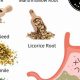 Best Herbal Tea for GERD Relief: Soothe Acid Reflux | The Ultimate Herbal Remedies Guide: Natural Healing for a Healthier Life