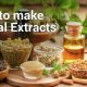 DIY: How to Make Herbal Extracts + Uses & Tips | The Ultimate Herbal Remedies Guide: Natural Healing for a Healthier Life