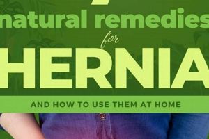 Natural Herbal Remedy for Hernia Relief - Guide The Ultimate Herbal Remedies Guide: Natural Healing for a Healthier Life Natural Herbal Remedy for Hernia Relief - Guide | The Ultimate Herbal Remedies Guide: Natural Healing for a Healthier Life