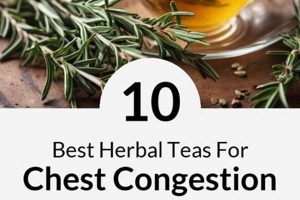 Relief with Herbal Teas for Congestion + Best Recipes! | The Ultimate Herbal Remedies Guide: Natural Healing for a Healthier Life
