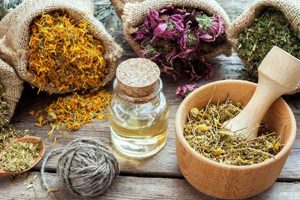 Benefits of Herbal Botanicals: A Natural Path The Ultimate Herbal Remedies Guide: Natural Healing for a Healthier Life Benefits of Herbal Botanicals: A Natural Path | The Ultimate Herbal Remedies Guide: Natural Healing for a Healthier Life