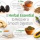 Natural Herbal Remedies for Digestive Problems Relief | The Ultimate Herbal Remedies Guide: Natural Healing for a Healthier Life