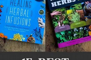 Exploring Mexican Herbalism Books: Remedies & Wisdom The Ultimate Herbal Remedies Guide: Natural Healing for a Healthier Life Exploring Mexican Herbalism Books: Remedies & Wisdom | The Ultimate Herbal Remedies Guide: Natural Healing for a Healthier Life