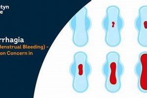 Natural Aid: Herbal Treatment for Heavy Bleeding Relief The Ultimate Herbal Remedies Guide: Natural Healing for a Healthier Life Natural Aid: Herbal Treatment for Heavy Bleeding Relief | The Ultimate Herbal Remedies Guide: Natural Healing for a Healthier Life