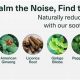 Natural Tinnitus Treatment: Herbal Remedies That Work | The Ultimate Herbal Remedies Guide: Natural Healing for a Healthier Life