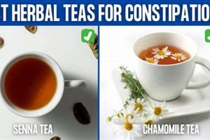 Natural Relief: Best Herbal Teas for Constipation Today | The Ultimate Herbal Remedies Guide: Natural Healing for a Healthier Life