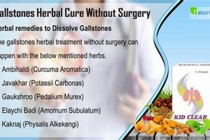 Natural Herbal Treatment for Gallstones: Relief & Remedy | The Ultimate Herbal Remedies Guide: Natural Healing for a Healthier Life
