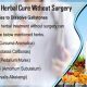 Natural Herbal Treatment for Gallstones: Relief & Remedy | The Ultimate Herbal Remedies Guide: Natural Healing for a Healthier Life