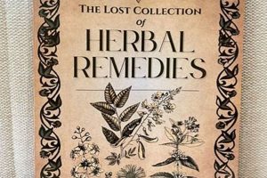 Unearthing the Lost Collection of Herbal Remedies: Ancient Cures The Ultimate Herbal Remedies Guide: Natural Healing for a Healthier Life Unearthing the Lost Collection of Herbal Remedies: Ancient Cures | The Ultimate Herbal Remedies Guide: Natural Healing for a Healthier Life