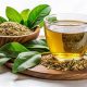 Unveiling the Source of South American Herbal Tea + | The Ultimate Herbal Remedies Guide: Natural Healing for a Healthier Life