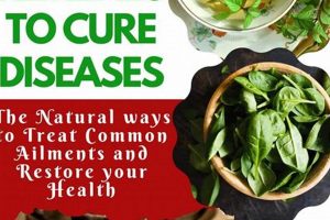 Natural Herbal Remedies for Graves' Disease: A Guide | The Ultimate Herbal Remedies Guide: Natural Healing for a Healthier Life