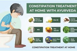 Quick Herbal Cure for Constipation: Natural Relief Tips | The Ultimate Herbal Remedies Guide: Natural Healing for a Healthier Life