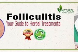 Natural Folliculitis Herbal Treatment: Relief & Care The Ultimate Herbal Remedies Guide: Natural Healing for a Healthier Life Natural Folliculitis Herbal Treatment: Relief & Care | The Ultimate Herbal Remedies Guide: Natural Healing for a Healthier Life