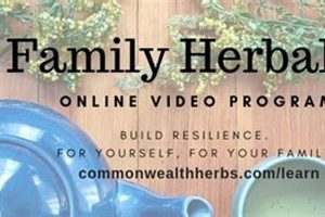 Commonwealth Holistic Herbalism Reviews: See What Students Say! The Ultimate Herbal Remedies Guide: Natural Healing for a Healthier Life Commonwealth Holistic Herbalism Reviews: See What Students Say! | The Ultimate Herbal Remedies Guide: Natural Healing for a Healthier Life