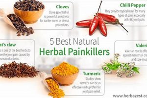 Top Herbal Pain Killers: Natural Relief Guide | The Ultimate Herbal Remedies Guide: Natural Healing for a Healthier Life