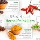 Top Herbal Pain Killers: Natural Relief Guide | The Ultimate Herbal Remedies Guide: Natural Healing for a Healthier Life