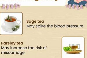 Which Herbal Teas to Avoid During Pregnancy? A Guide | The Ultimate Herbal Remedies Guide: Natural Healing for a Healthier Life