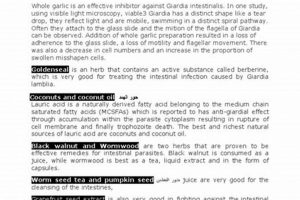 Natural Giardia Herbal Treatment: Relief & Remedies | The Ultimate Herbal Remedies Guide: Natural Healing for a Healthier Life