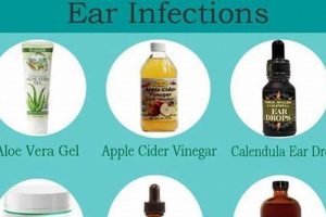 Natural Herbal Remedies for Dog Ear Infections: Relief Tips | The Ultimate Herbal Remedies Guide: Natural Healing for a Healthier Life