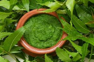 Discover: Neem Herbal Plant Benefits + Uses | The Ultimate Herbal Remedies Guide: Natural Healing for a Healthier Life