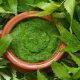 Discover: Neem Herbal Plant Benefits + Uses | The Ultimate Herbal Remedies Guide: Natural Healing for a Healthier Life