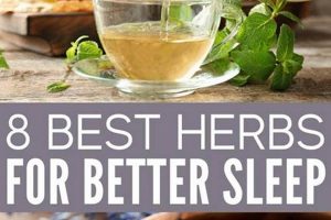 Natural Herbal Treatment for Sleep: A Peaceful Guide | The Ultimate Herbal Remedies Guide: Natural Healing for a Healthier Life