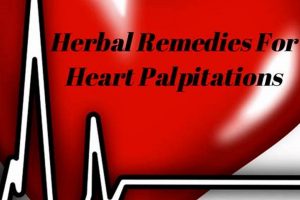 Natural Herbals: Soothe Heart Palpitations Safely | The Ultimate Herbal Remedies Guide: Natural Healing for a Healthier Life