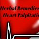Natural Herbals: Soothe Heart Palpitations Safely | The Ultimate Herbal Remedies Guide: Natural Healing for a Healthier Life
