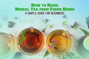 Easy How to Make Herbal Tea at Home: A Simple Guide The Ultimate Herbal Remedies Guide: Natural Healing for a Healthier Life Easy How to Make Herbal Tea at Home: A Simple Guide | The Ultimate Herbal Remedies Guide: Natural Healing for a Healthier Life