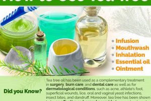 Discover Herbal Tea Tree Benefits: Uses &amp; Tips | The Ultimate Herbal Remedies Guide: Natural Healing for a Healthier Life
