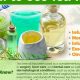 Discover Herbal Tea Tree Benefits: Uses &amp; Tips | The Ultimate Herbal Remedies Guide: Natural Healing for a Healthier Life