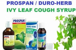 Best Herbal Cough Mixture: Your Natural Relief Guide The Ultimate Herbal Remedies Guide: Natural Healing for a Healthier Life Best Herbal Cough Mixture: Your Natural Relief Guide | The Ultimate Herbal Remedies Guide: Natural Healing for a Healthier Life