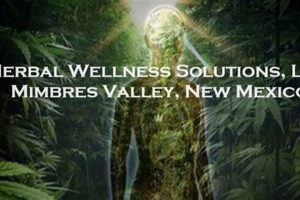 Find Herbal Wellness Deals Today: Save Big! | The Ultimate Herbal Remedies Guide: Natural Healing for a Healthier Life