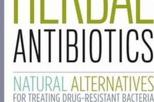 Buhner's Herbals: Natural Antibiotics Protocol Guide The Ultimate Herbal Remedies Guide: Natural Healing for a Healthier Life Buhner's Herbals: Natural Antibiotics Protocol Guide | The Ultimate Herbal Remedies Guide: Natural Healing for a Healthier Life