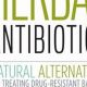 Buhner's Herbals: Natural Antibiotics Protocol Guide | The Ultimate Herbal Remedies Guide: Natural Healing for a Healthier Life