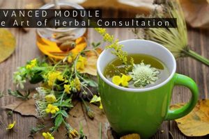 Herbal Education: Is The Herbal Academy Accredited? Guide | The Ultimate Herbal Remedies Guide: Natural Healing for a Healthier Life