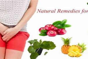 Natural Aid: Herbal Remedies for Urethritis Relief | The Ultimate Herbal Remedies Guide: Natural Healing for a Healthier Life
