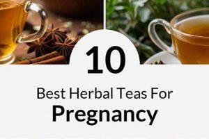 Gentle Guide: Best Pregnancy Herbal Teas for Moms The Ultimate Herbal Remedies Guide: Natural Healing for a Healthier Life Gentle Guide: Best Pregnancy Herbal Teas for Moms | The Ultimate Herbal Remedies Guide: Natural Healing for a Healthier Life