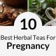 Gentle Guide: Best Pregnancy Herbal Teas for Moms | The Ultimate Herbal Remedies Guide: Natural Healing for a Healthier Life