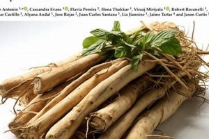 Tom Tom Herbal Supplement: Who Uses It & Why? | The Ultimate Herbal Remedies Guide: Natural Healing for a Healthier Life