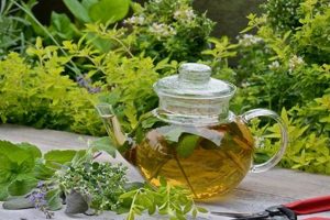Grow Your Tea: Herbal Tea Plants for the Garden & Recipes! | The Ultimate Herbal Remedies Guide: Natural Healing for a Healthier Life