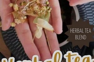 Soothing Sip: Best Herbal Tea for Head Cold Relief [Guide] | The Ultimate Herbal Remedies Guide: Natural Healing for a Healthier Life