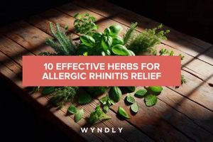 Natural Allergic Rhinitis Herbal Treatment: Relief Guide | The Ultimate Herbal Remedies Guide: Natural Healing for a Healthier Life