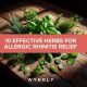 Natural Allergic Rhinitis Herbal Treatment: Relief Guide | The Ultimate Herbal Remedies Guide: Natural Healing for a Healthier Life