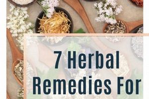 Natural Herbal Remedies for Prostate Issues: Relief Guide | The Ultimate Herbal Remedies Guide: Natural Healing for a Healthier Life