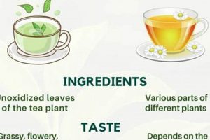 Tea Talk: Is Green Tea Considered Herbal? Guide | The Ultimate Herbal Remedies Guide: Natural Healing for a Healthier Life