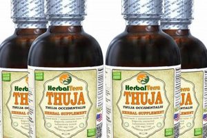 Unlocking Herbal Terra: The Natural Soil Solution | The Ultimate Herbal Remedies Guide: Natural Healing for a Healthier Life